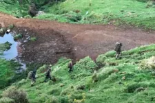 Csak idő kérdése, hogy kiderüljön, ki segítette a gyerekeit elrabló új-zélandi apát a vadonban