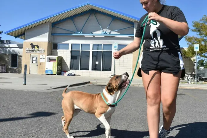 Egy komplett állatmenhelyt evakuálni kellett, mert az FBI úgy döntött, hogy ott égeti el a lefoglalt kábítószert