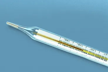 Hartay Csaba: Otthonunk a Művésztelep