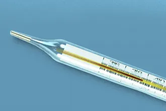 Hartay Csaba: Otthonunk a Művésztelep