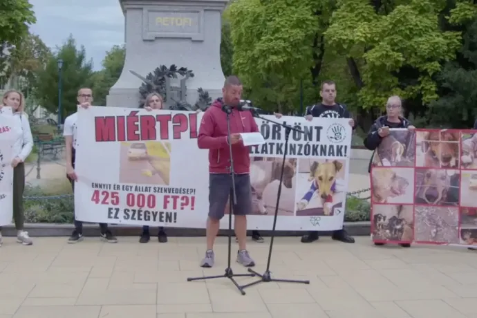 Letöltendő börtönbüntetést követeltek az állatkínzóknak a Szurkolók az Állatokért kiskunfélegyházi tüntetésén
