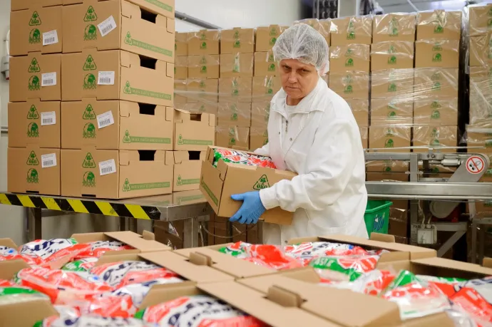 A szakadék felé száguld az Alföldi Tej, és amikor jött volna egy megmentő, a kormány közbelépett