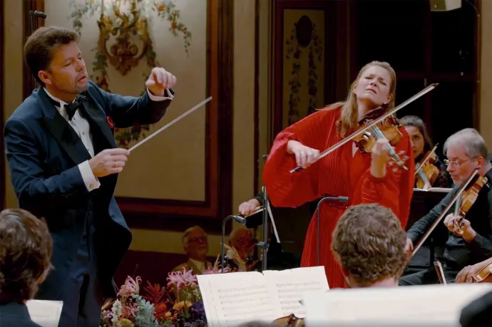 Pipacs, a deszkák dísze