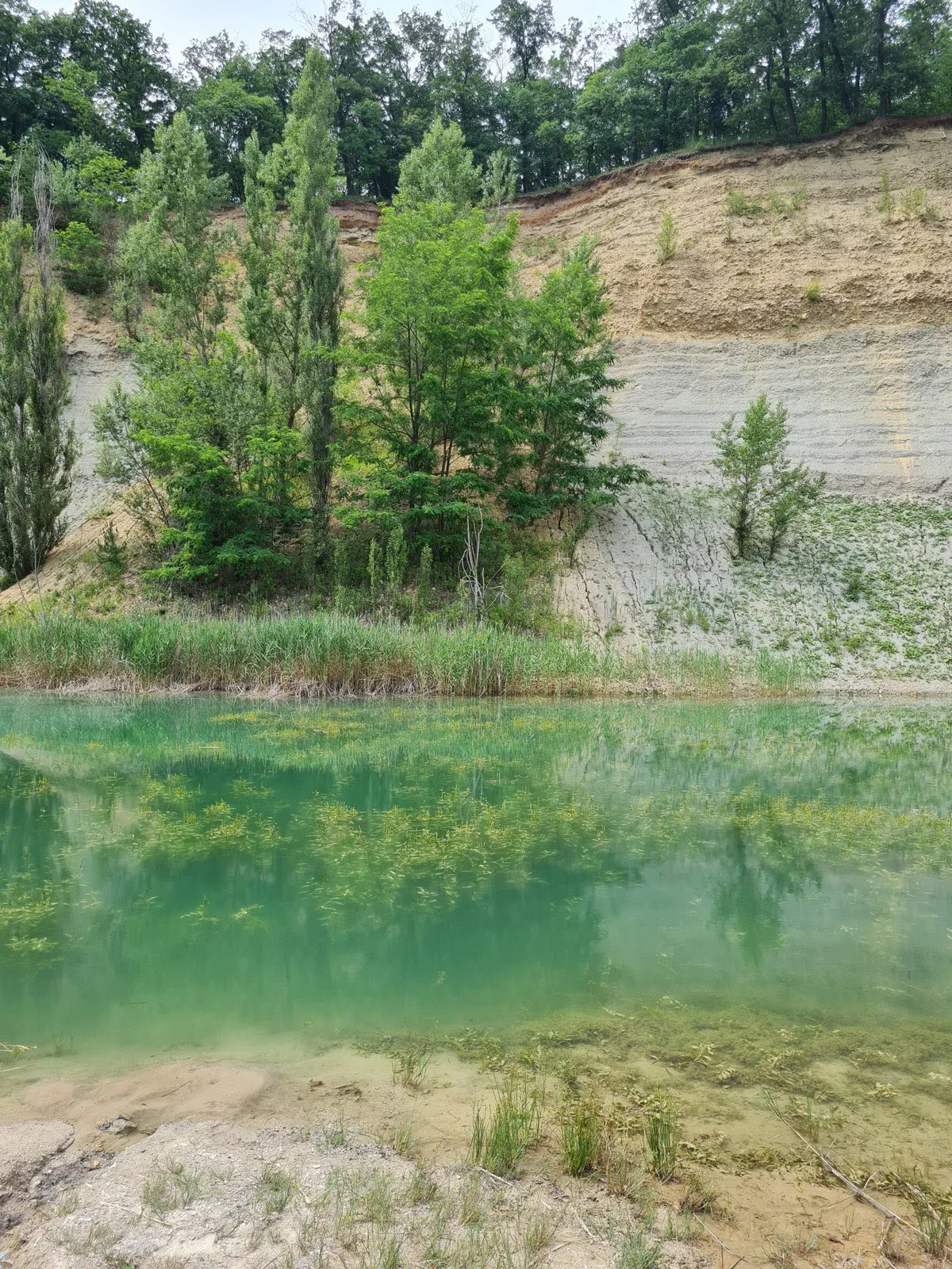 Telex: A Cica-homok bányát veszélyes hulladékkal tömik el, az egyik ...
