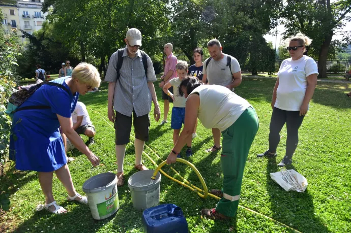 Jó ötlet bevonni a civileket a szomjazó fák locsolásába