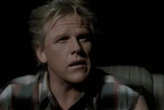 Két év felfüggesztettet kapott Gary Busey szexuális bűncselekmény miatt
