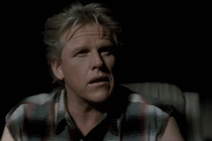 Két év felfüggesztettet kapott Gary Busey szexuális bűncselekmény miatt