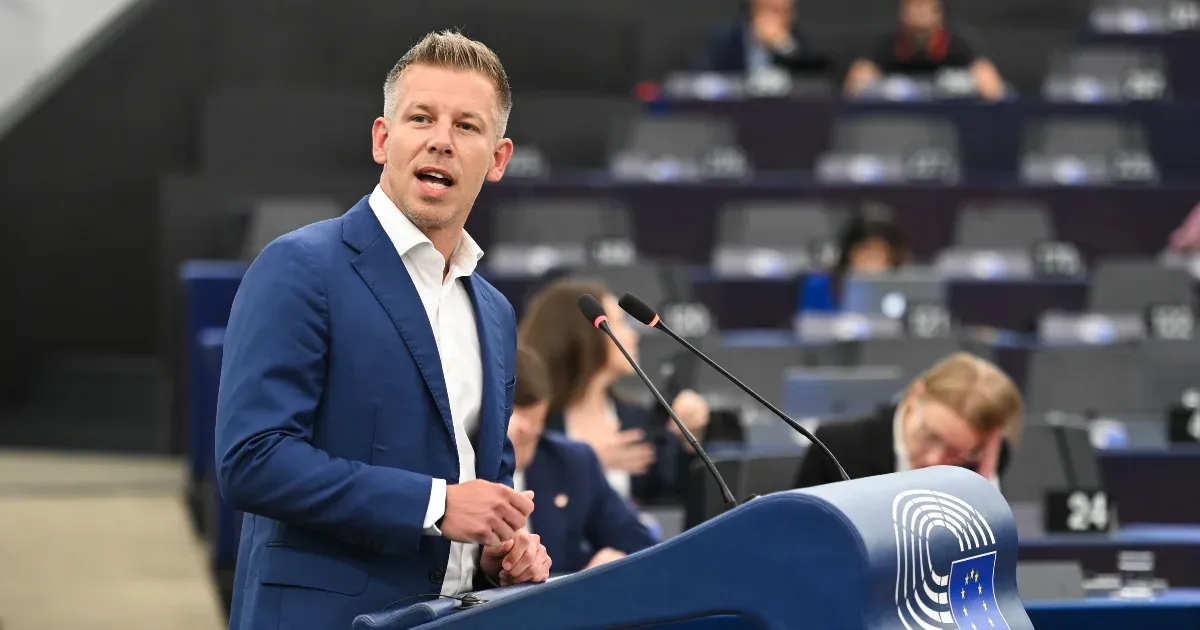 EUrologus: Ne adják ki Magyar Péter és Ilaria Salis mentelmi jogát, javasolja az EP szakbizottsága