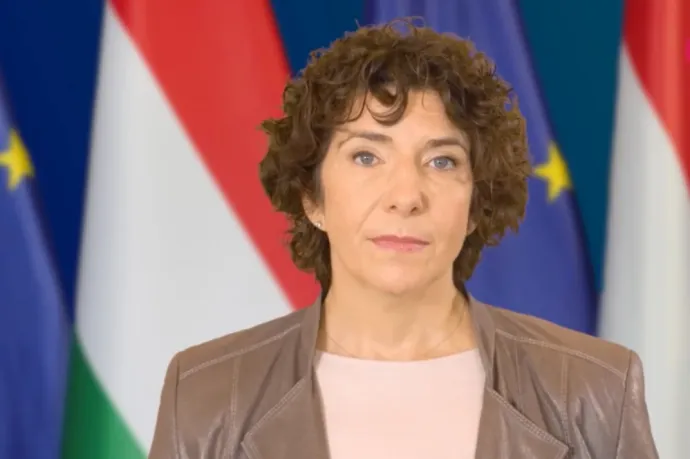 Dobrev Klára 5-5 millió forint nyomravezetői díjat ajánlott fel annak, aki hitelesen bizonyítja, ki a Szőlő utcai ügyben érintett két politikus