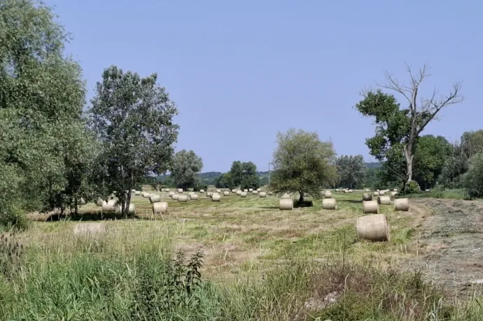 Tárgyalási alapnak sem jó, ahogy a Magyarországnak is fontos agrárpénzekhez nyúlna az EU?