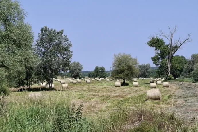 Tárgyalási alapnak sem jó, ahogy a Magyarországnak is fontos agrárpénzekhez nyúlna az EU?