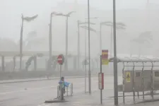 Videóra vették, ahogy egy méretes hidat elsodor a Ragasa tájfun árvize