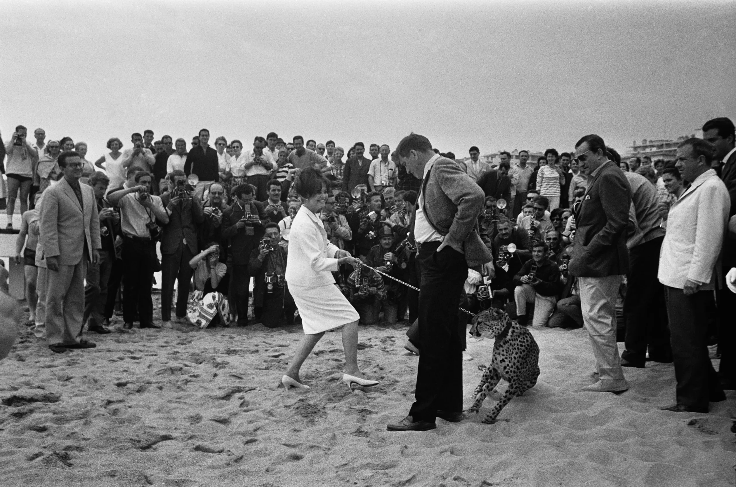 Claudia Cardinale A párduc cannes-i vetítése után 1963-ban – Fotó: Reporters Associes / Gamma-Rapho / Getty Images