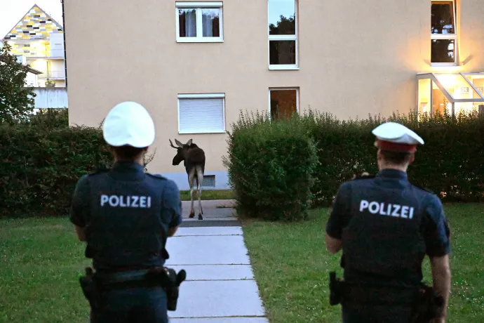 Fotó: Helmut Fohringer / APA / AFP