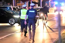 Emil, az Ausztriát átszelő jávorszarvas, ami a fél országot lázban tartotta