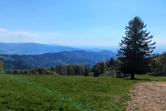 Rohrhardsberg, erdei vízerőmű, Danuvius folyóisten a Duna-forrásnál, Teich-szurdok – Fotó: Tichy Roland