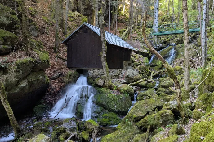 Rohrhardsberg, erdei vízerőmű, Danuvius folyóisten a Duna-forrásnál, Teich-szurdok – Fotó: Tichy Roland