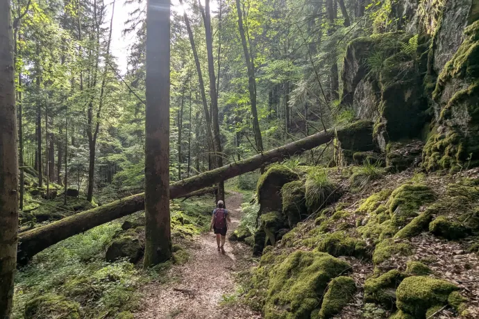 Rohrhardsberg, erdei vízerőmű, Danuvius folyóisten a Duna-forrásnál, Teich-szurdok – Fotó: Tichy Roland