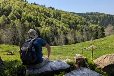 Kalandozások a Fekete-erdőben, a Duna forrásvidékén