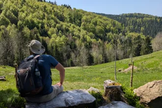 Kalandozások a Fekete-erdőben, a Duna forrásvidékén