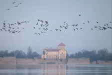 Október első hetében már igazi őszi időnk lesz