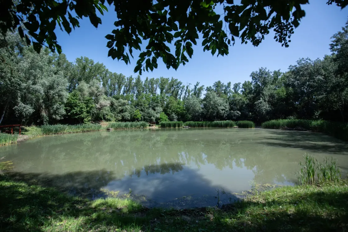 Gázrobbanásból lett csendes oázis a Hortobágy szélén