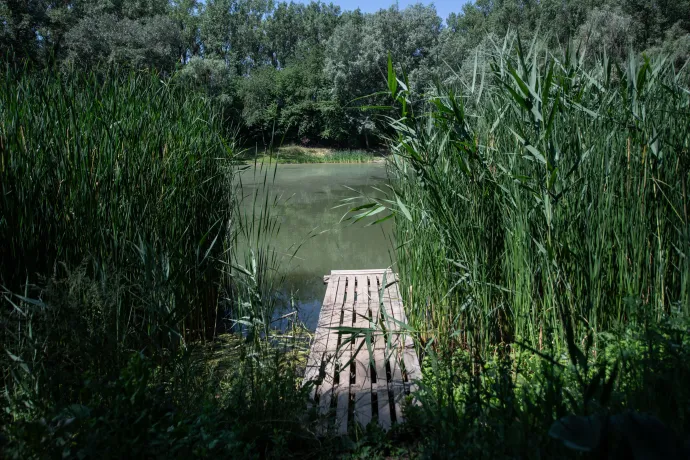 Fotó: Bődey János / Telex