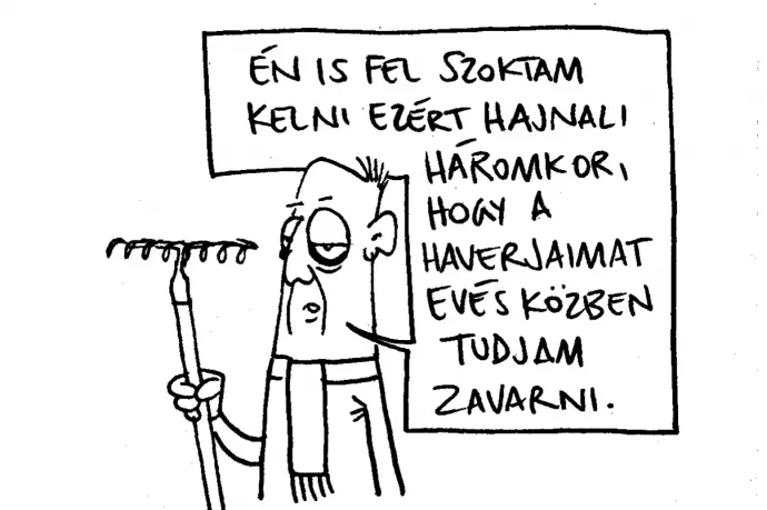 Palackot nézek