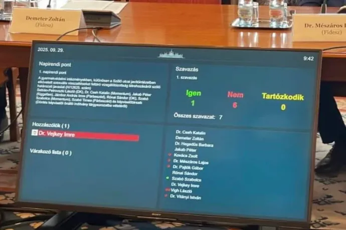 A kormánypárti képviselők leszavazták a parlamenti vizsgálóbizottság létrehozását a Szőlő utcai ügyben