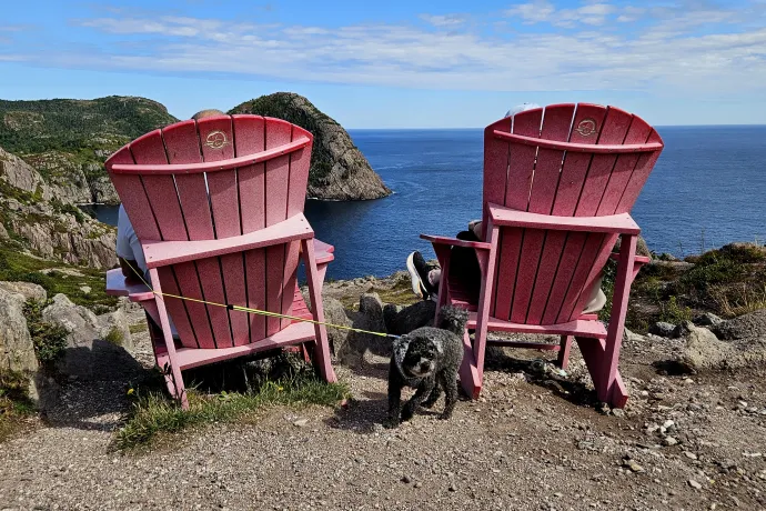 A Signal Hillre vezető East Coast Trail pallós szakasza, két, öbölre néző fafotelben pihenő kiránduló, a Signal Hill a Cabot-toronnyal – Fotó: Molnár Zoltán / Telex