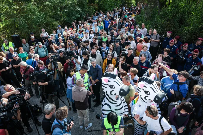 Lezáratnák azt az utat Hatvanpusztánál, ahonnan rálátni a zebrákra és antilopokra