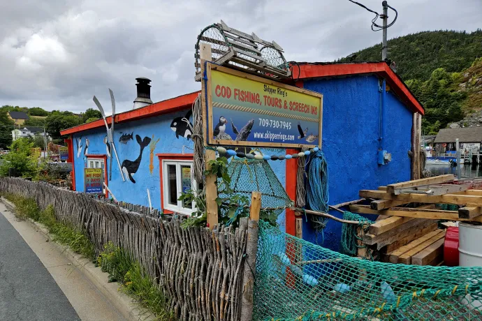 Quidi Vidi – Fotó: Molnár Zoltán / Telex