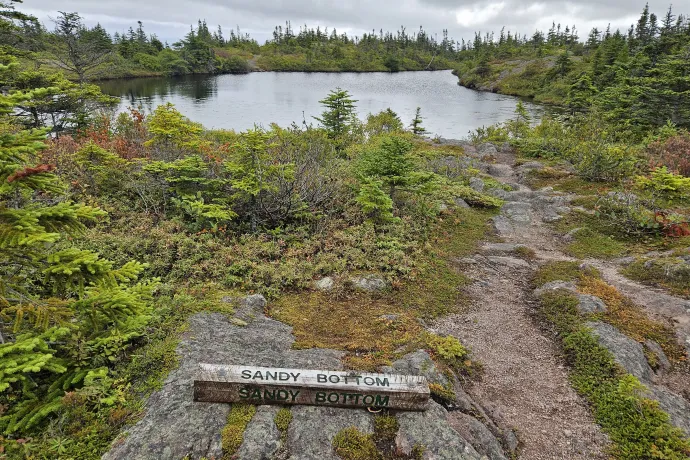 A Sandy Bottom nevű hegyi tavacska és a Freshwater Bay – Fotó: Molnár Zoltán / Telex