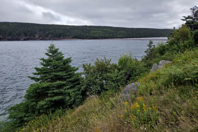 A Sandy Bottom nevű hegyi tavacska és a Freshwater Bay – Fotó: Molnár Zoltán / Telex