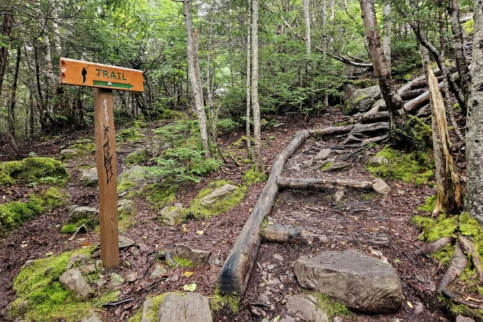 Az ösvény egy lépcsősített szakasza és kilátás az óceánra – Fotó: Molnár Zoltán / Telex