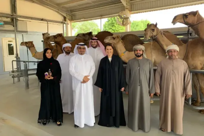 Mariam Mohammed Saeed Almheiri, State Secretary for Food and Water Security (right), visiting the camel farm in Dubai – Photo: Camelicious / Facebook