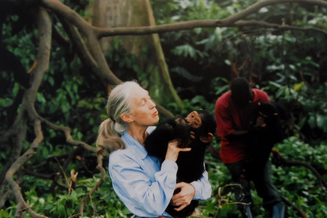 Meghalt Jane Goodall