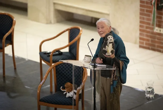 Dr. Jane Goodall angol etológus, csimpánzkutató az ELTE Lágymányosi Campusán 2023. május 9-én – Fotó: Melegh Noémi Napsugár / Telex