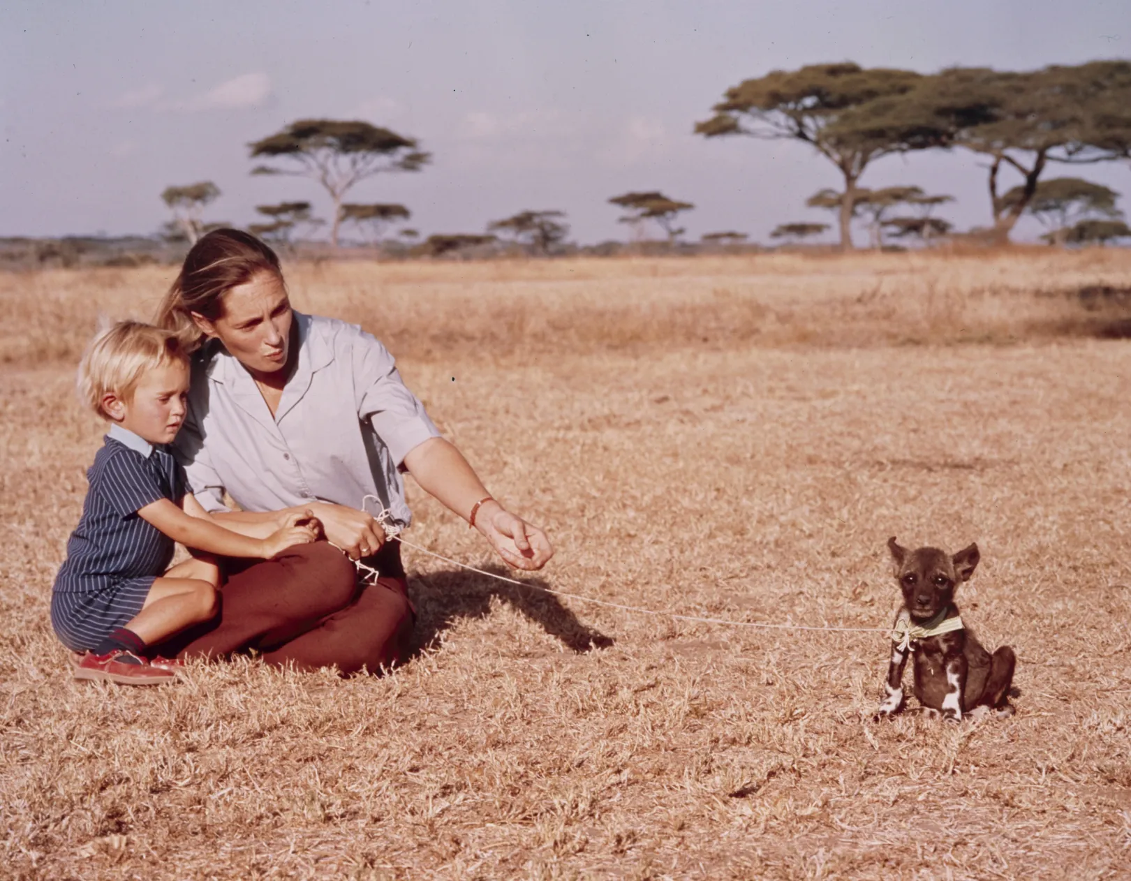 Fiával, Hugóval 1973-ban – Fotó: Walt Disney Television / Getty Images