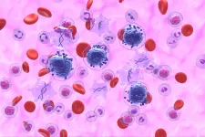 Egy kísérleti immunterápia kikapcsolhatja a leukémiás sejtek rejtőzködő mechanizmusát