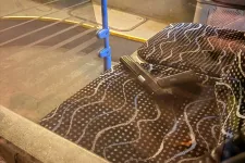 Sofőr úr, valaki pisztolyt hagyott a 34-es buszon!