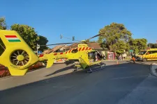 Leszakadt egy lovaskocsi oldala az ürömi szüreti bálon, mentőhelikopter is érkezett a helyszínre
