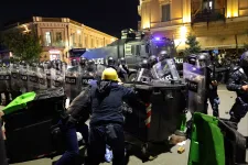 Kormányellenes tüntetők rohamozták meg az elnöki palotát Grúzia fővárosában