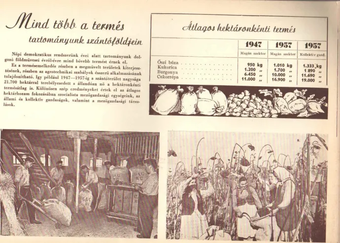Az ipari és mezőgazdasági teljesítmények bemutatása egy korabeli propagandakiadványban – Forrás: a szerző archívuma