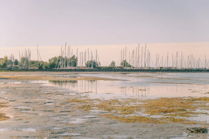 Fotó: Bartha Dorka / Balatonoffseason