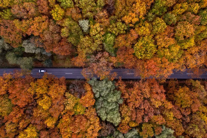 Bármi is van most, napról napra jobb lesz