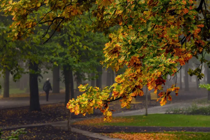 Szelesen indul a hét, sokfelé lehet eső is