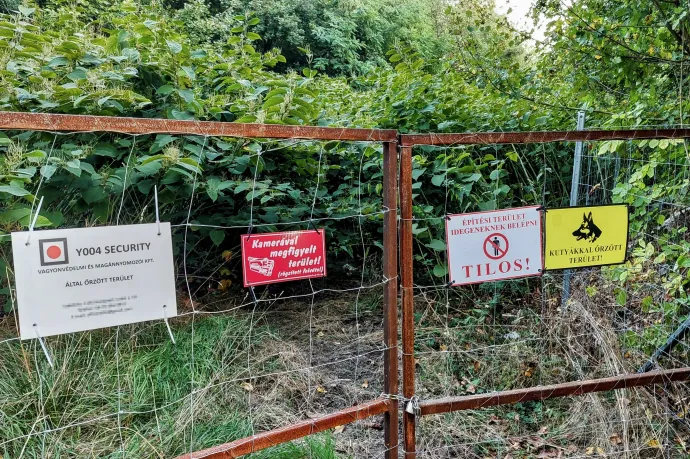 Újbuda közbelépett, nem lesz rendezvényközpont és fizetős fürdőtó a védettségre szánt őrmezei réteken