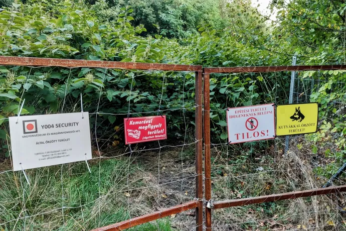 Újbuda közbelépett, nem lesz rendezvényközpont és fizetős fürdőtó a védettségre szánt őrmezei réteken