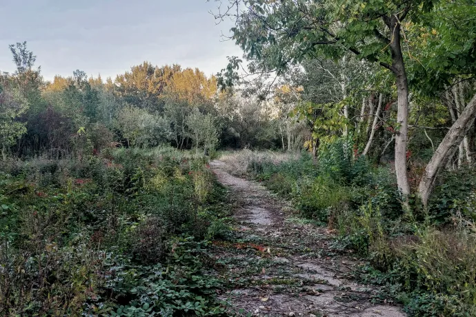 Fotó: Kreitler-Sas Máté / Újbuda Önkormányzata